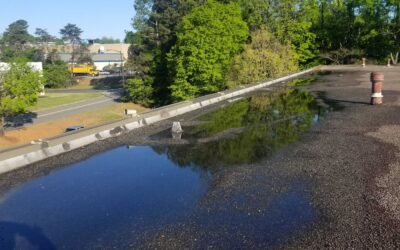 The Role of Drainage Systems in Protecting Your Commercial Roof