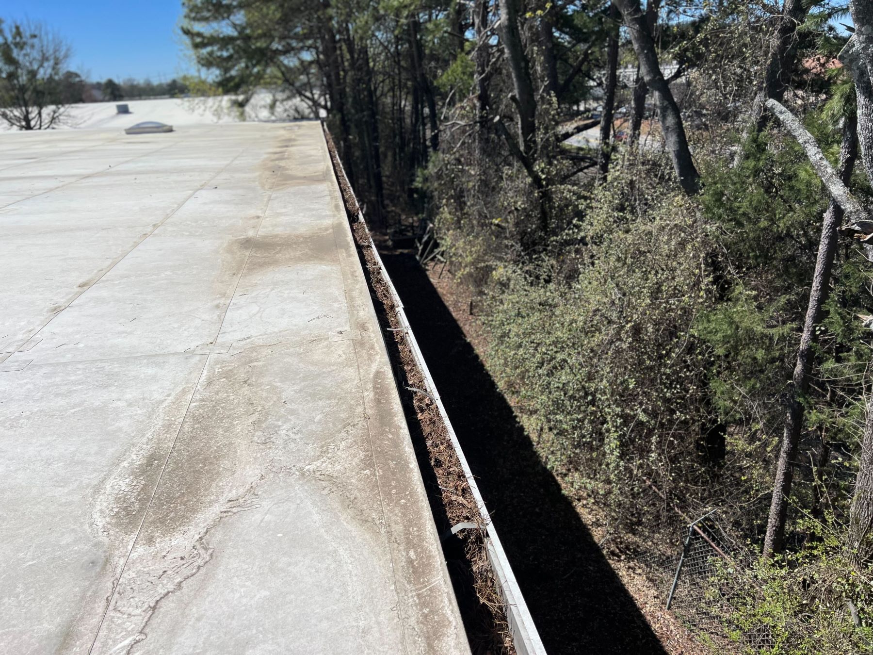 The Role of Gutters in Roof Health: Cleaning and Maintenance Tips