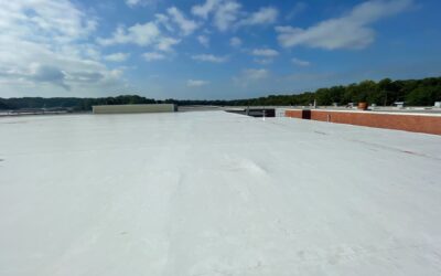 What to Expect During a Commercial Roof Replacement