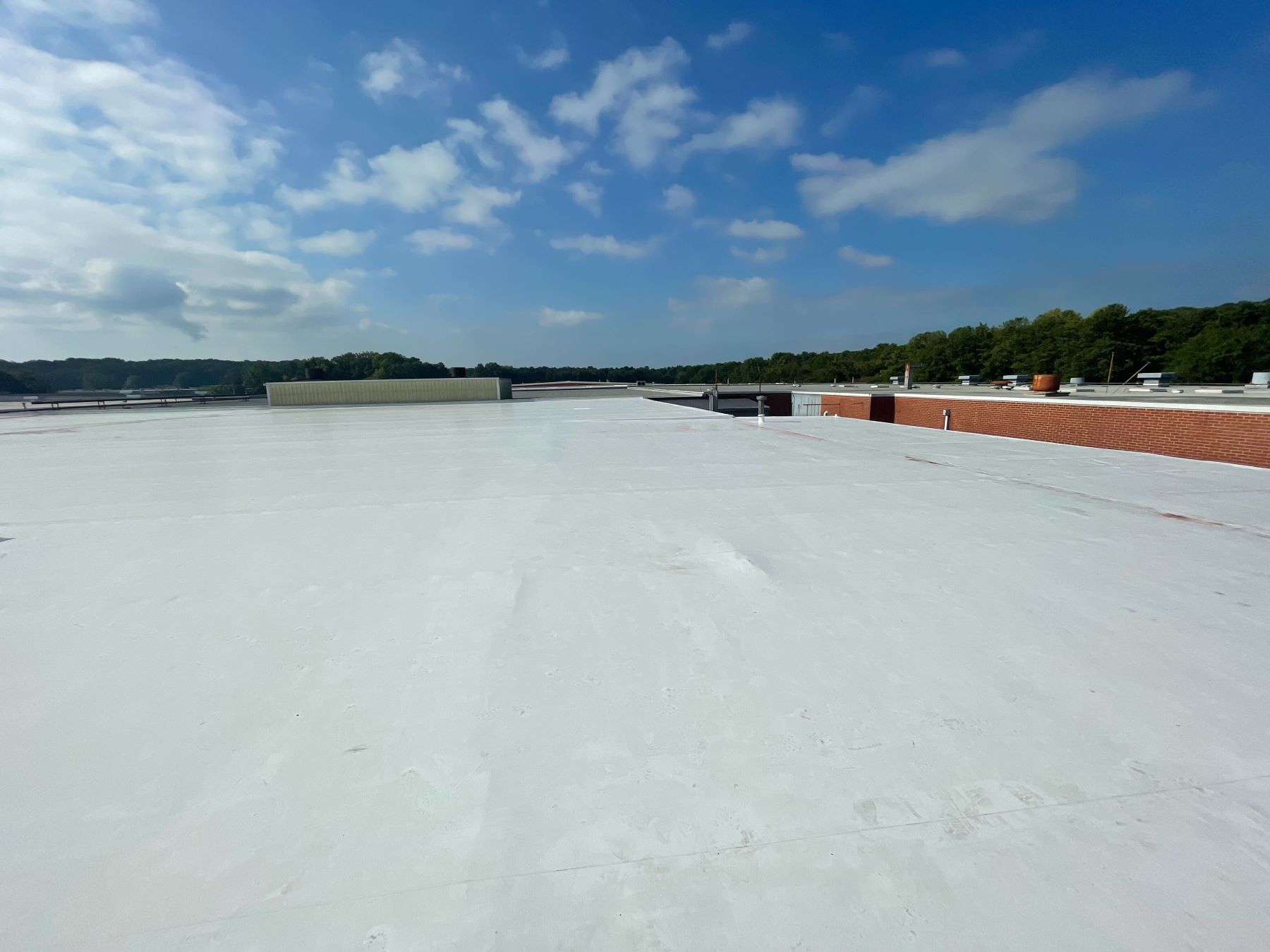 What to Expect During a Commercial Roof Replacement