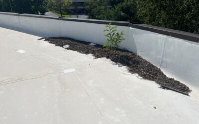 Top 5 Signs Your Commercial Roof Needs Repair or Replacement