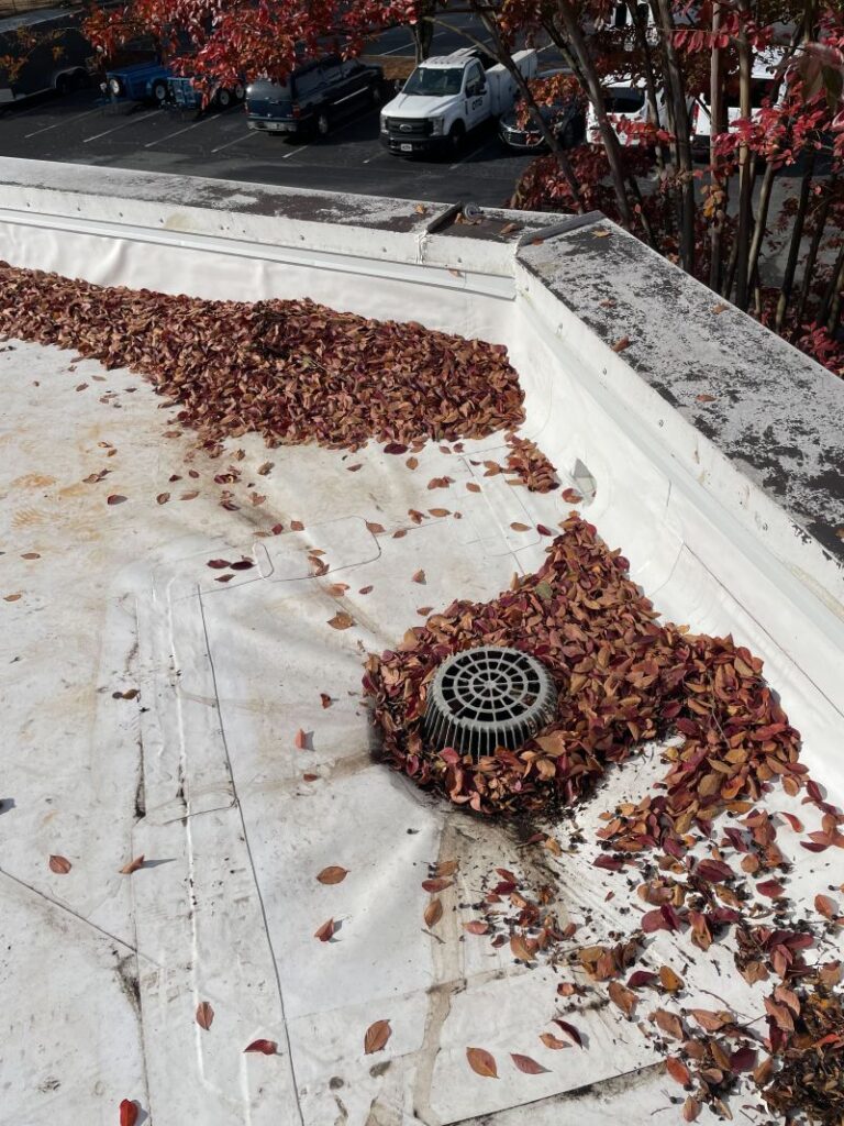How to Handle Roof Leaks Before They Cause Serious Damage 2 Parsons Roofing Commercial Roofing How to Take Care of Leaks 02