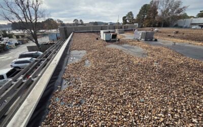 Beyond the Drip: How Roofing Neglect Systematically Erodes Your Property Value